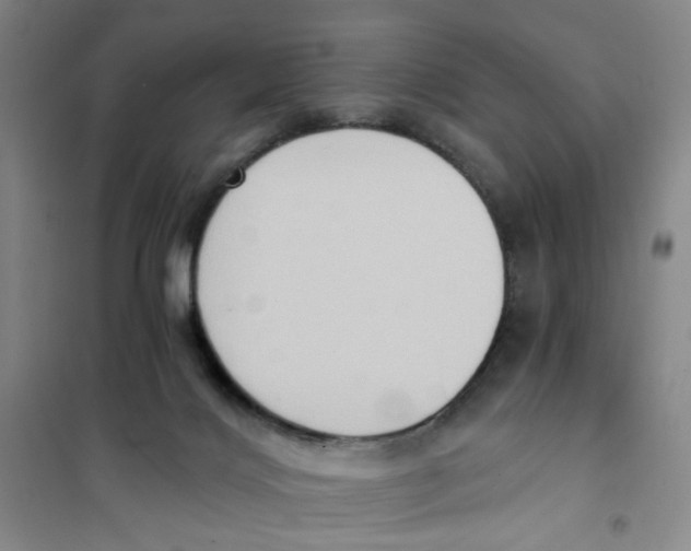 X0000101120028200807241210