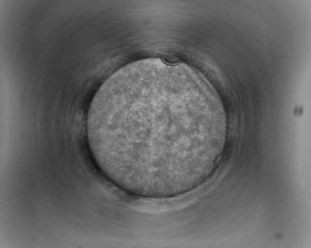 X0000101120029200807241210