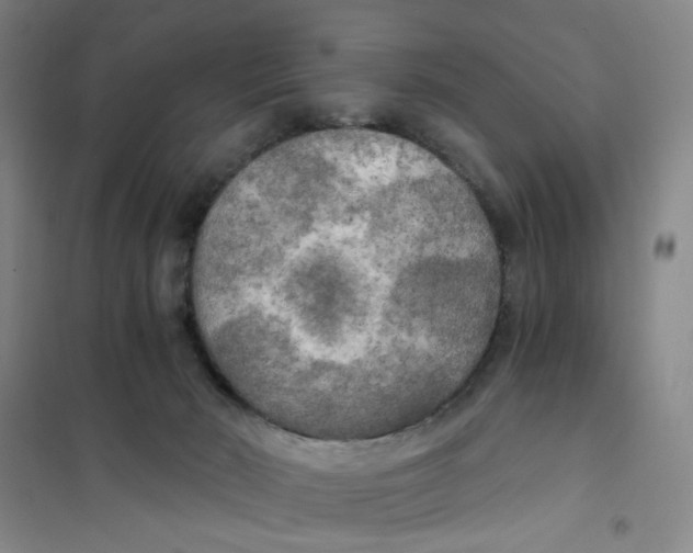 X0000101120030200807241210