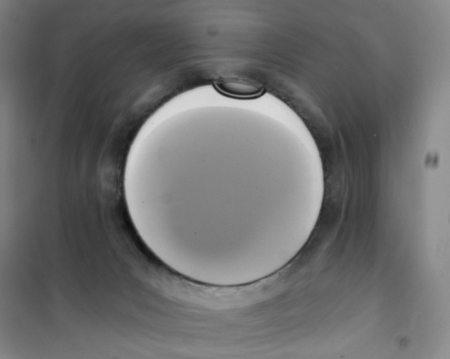 X0000101120031200807241210
