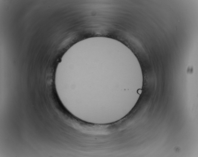 X0000101120032200807241210