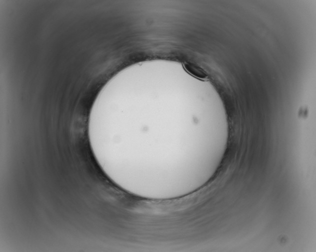 X0000101120033200807241210