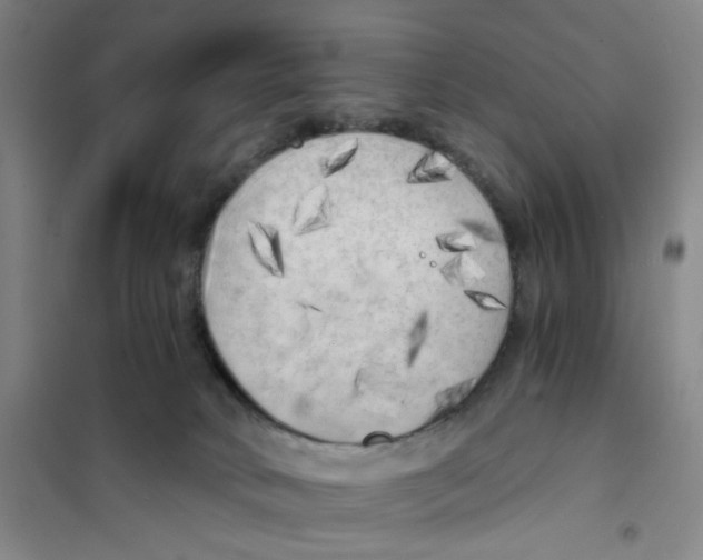 X0000101120034200807241210