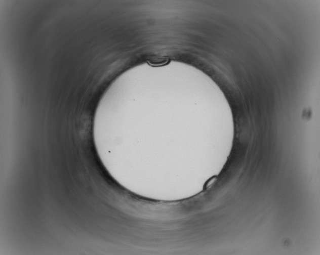 X0000101120036200807241210