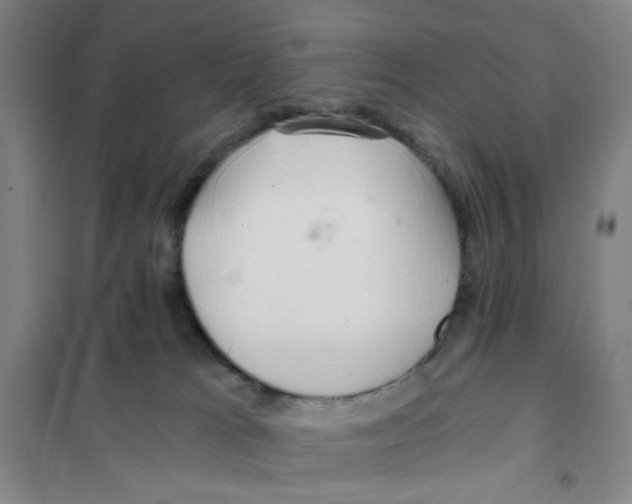 X0000101120037200807241210