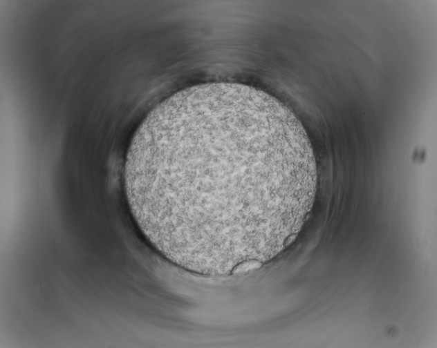 X0000101120038200807241210