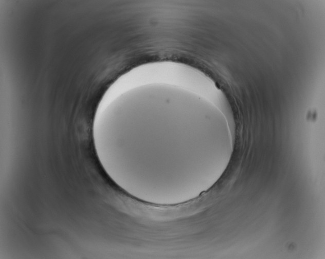 X0000101120039200807241210