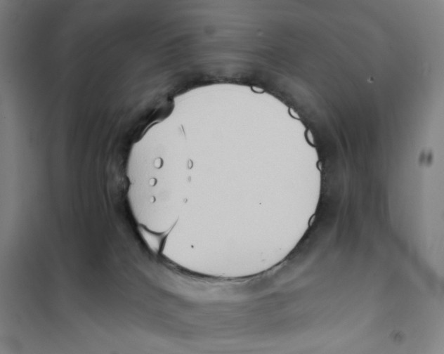 X0000101120040200807241210