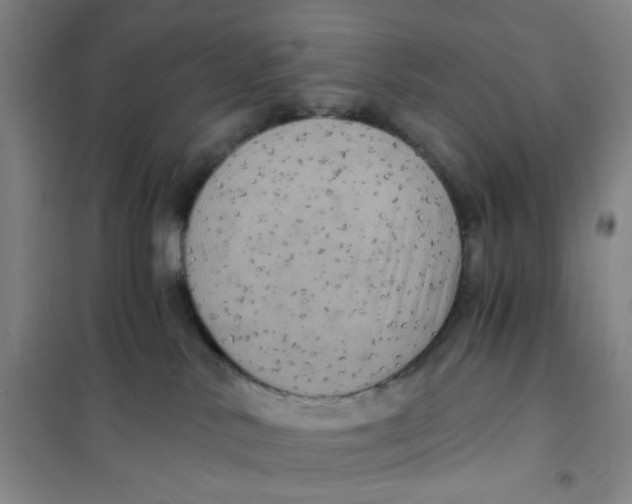 X0000101120042200807241210