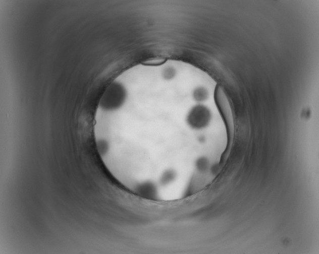 X0000101120043200807241210