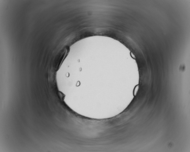 X0000101120044200807241210
