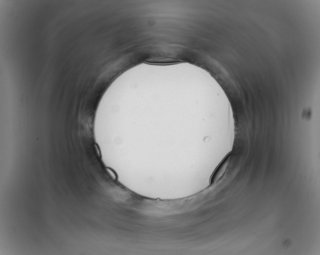 X0000101120045200807241210