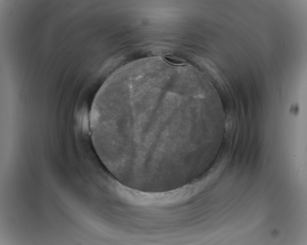 X0000101120046200807241210