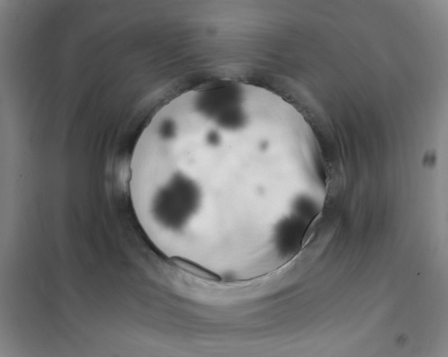 X0000101120047200807241210