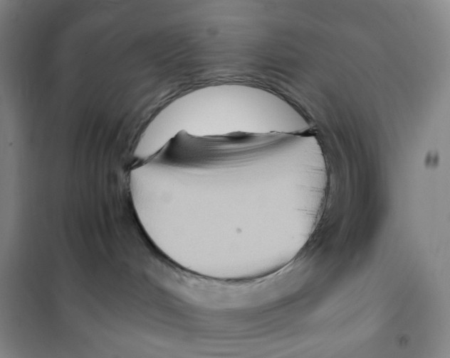X0000101120048200807241210
