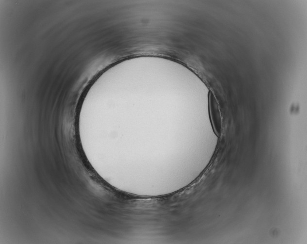 X0000101120050200807241209