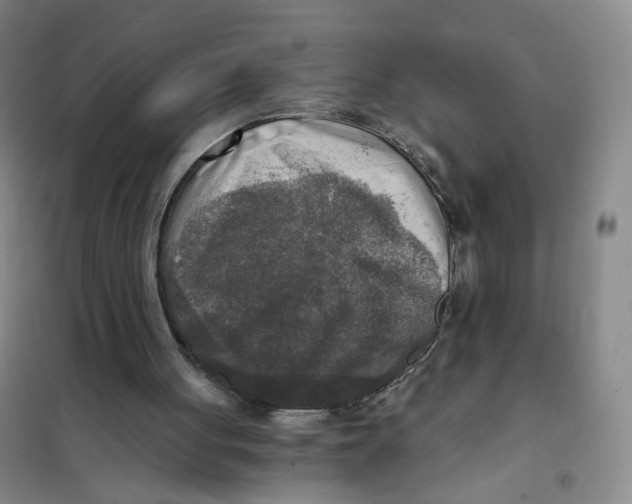 X0000101120051200807241209