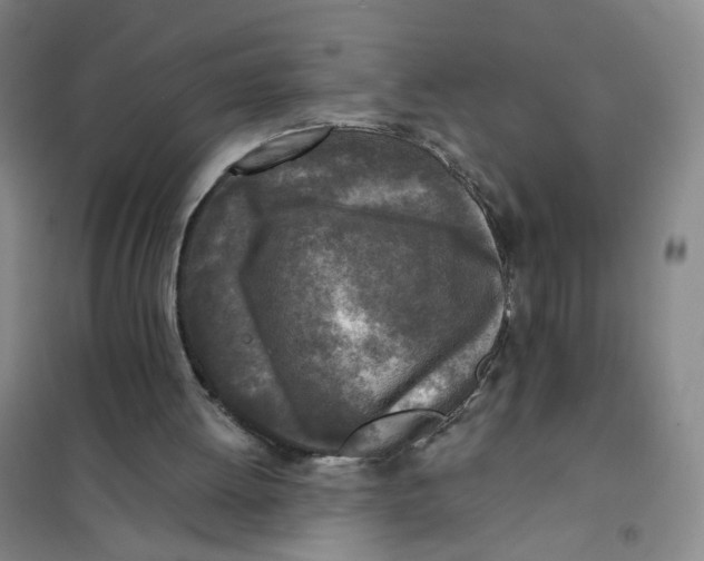 X0000101120052200807241209