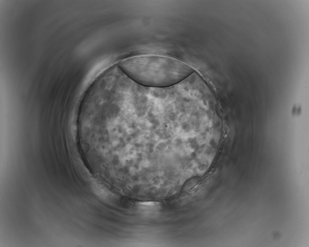X0000101120053200807241209