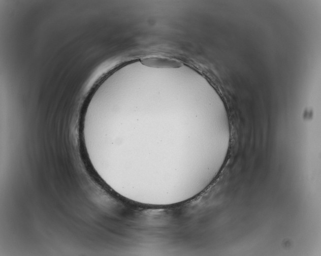 X0000101120054200807241209