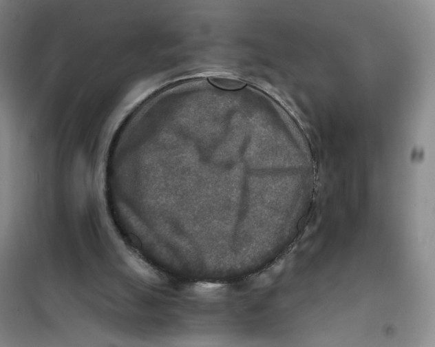 X0000101120055200807241209