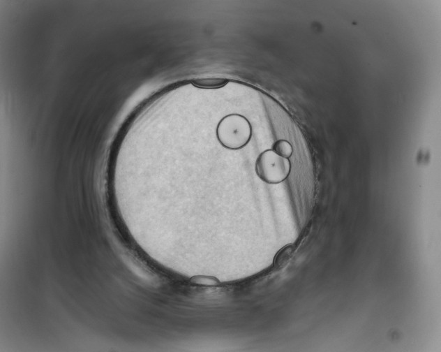 X0000101120056200807241209