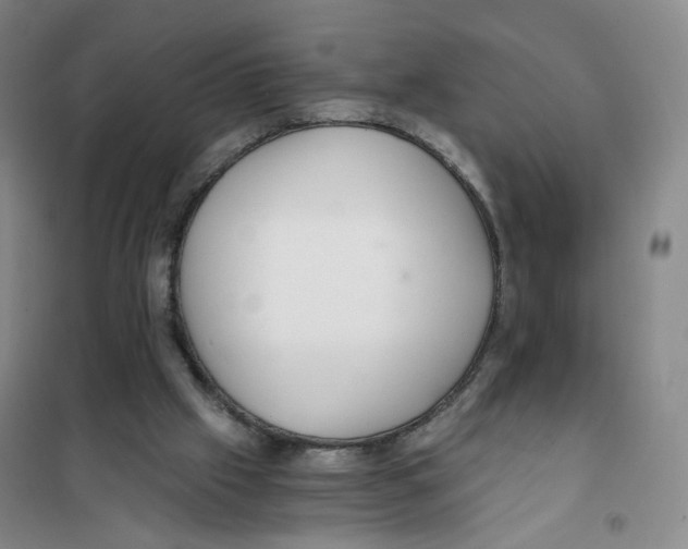 X0000101120057200807241209