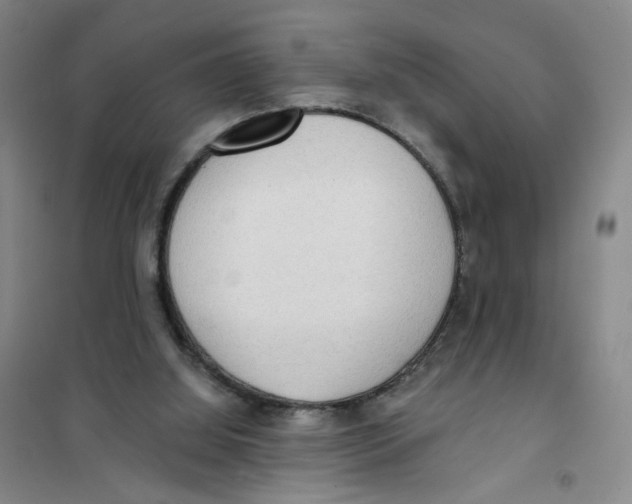 X0000101120060200807241209