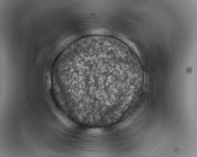 X0000101120061200807241209