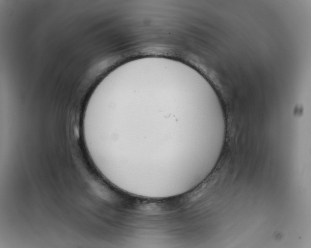 X0000101120062200807241209