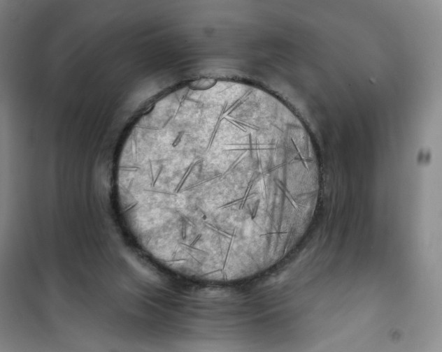 X0000101120063200807241209