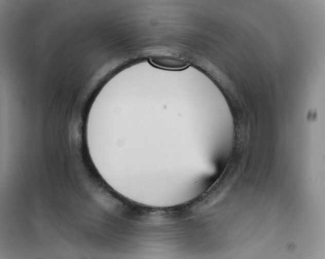 X0000101120064200807241209