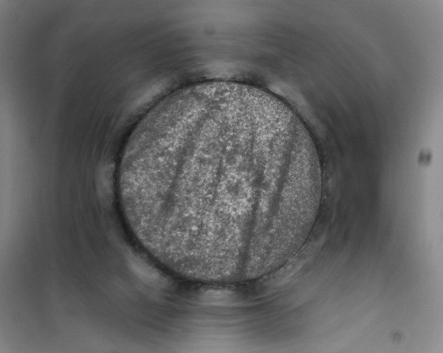 X0000101120066200807241209