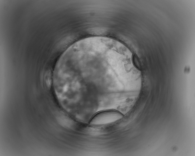 X0000101120069200807241209