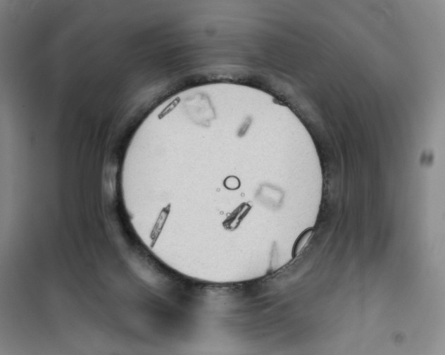 X0000101120070200807241209