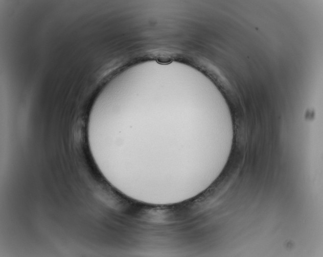 X0000101120071200807241209