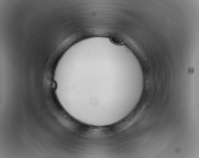 X0000101120072200807241209