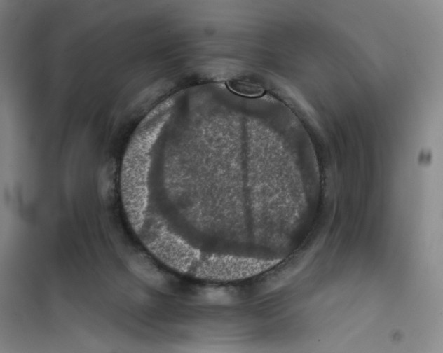 X0000101120073200807241209