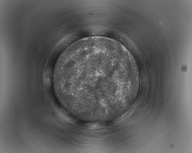 X0000101120074200807241209