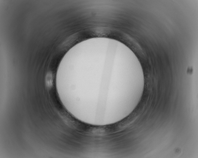 X0000101120075200807241209