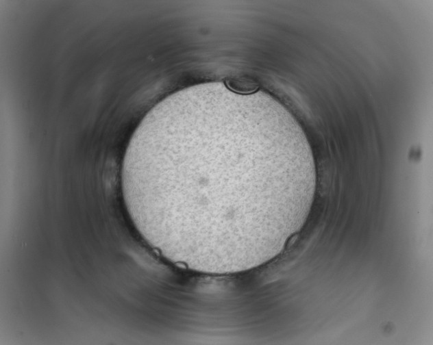 X0000101120077200807241209