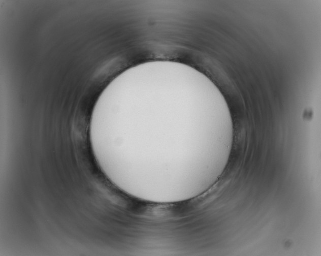X0000101120078200807241209