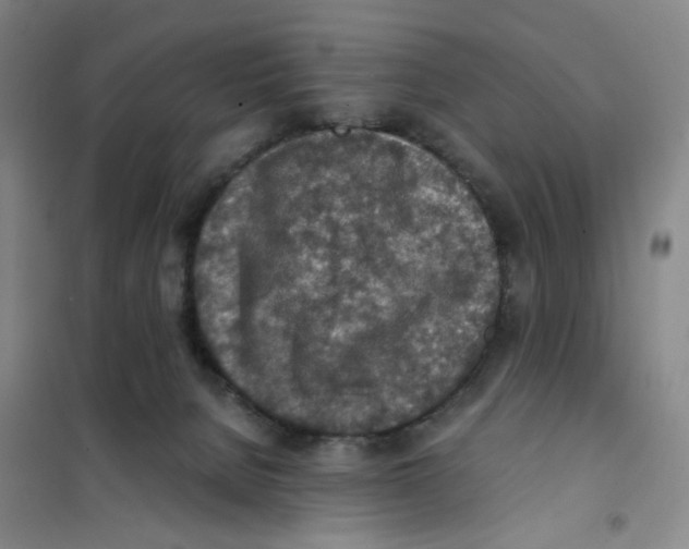 X0000101120080200807241209