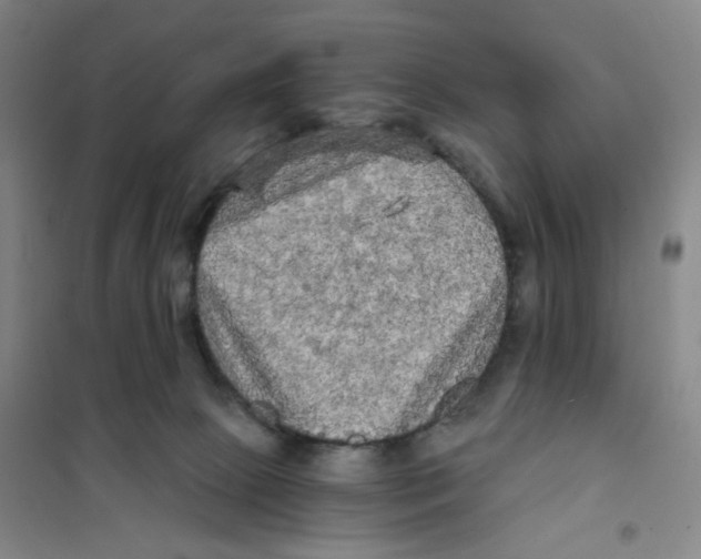 X0000101120081200807241209