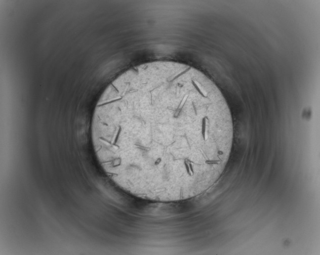 X0000101120082200807241209