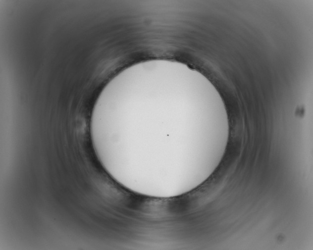 X0000101120084200807241209