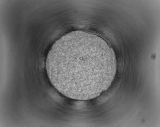 X0000101120085200807241209