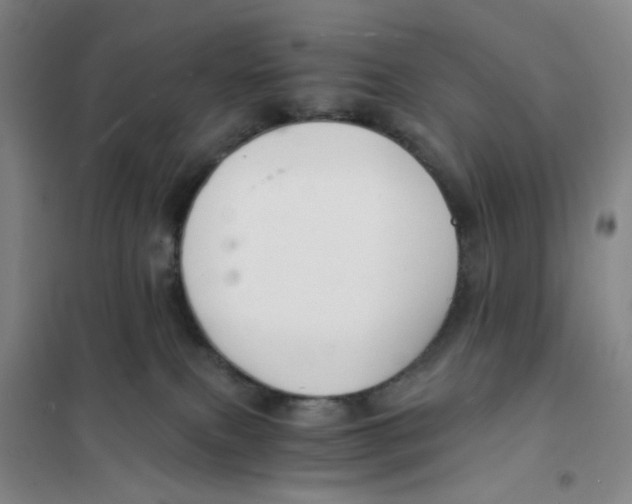X0000101120087200807241209