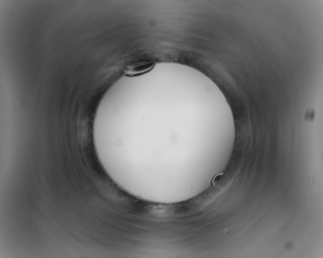 X0000101120088200807241209