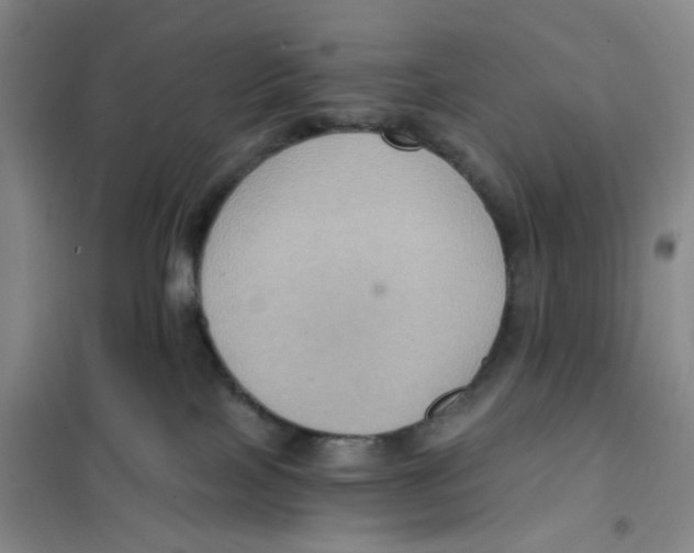 X0000101120089200807241209